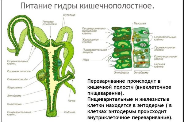 Ссылка омг в тор браузере